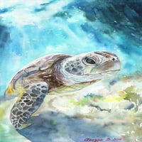 Морска костенурка живописен печат върху увито платно